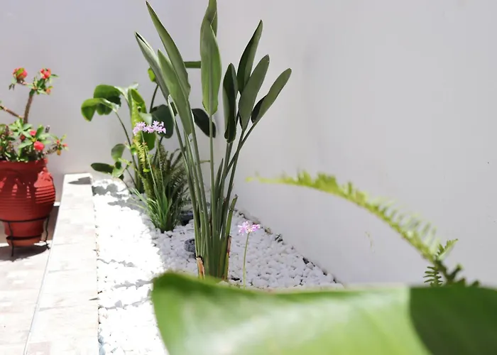 Casa Metropolis 公寓 Rhodes City