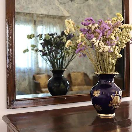 Casa Metropolis Apartman