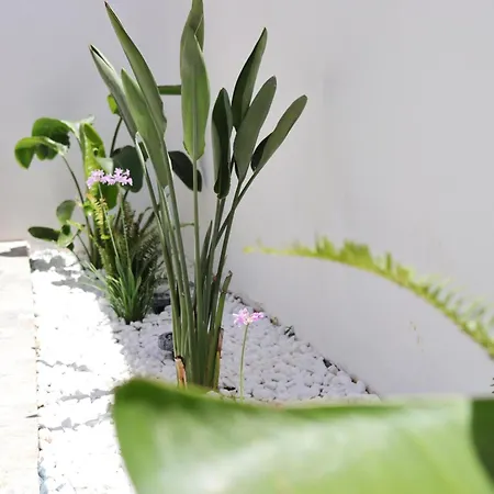 Casa Metropolis Apartman Rhodes City