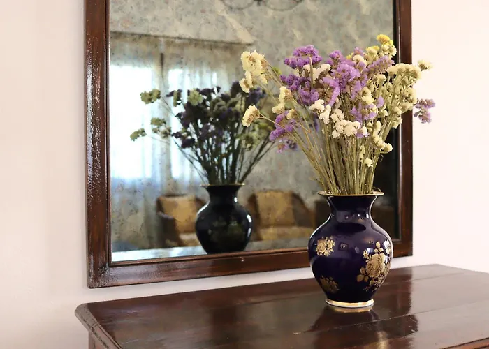 Casa Metropolis Апартаменты