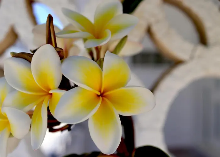 Casa Metropolis * Родос